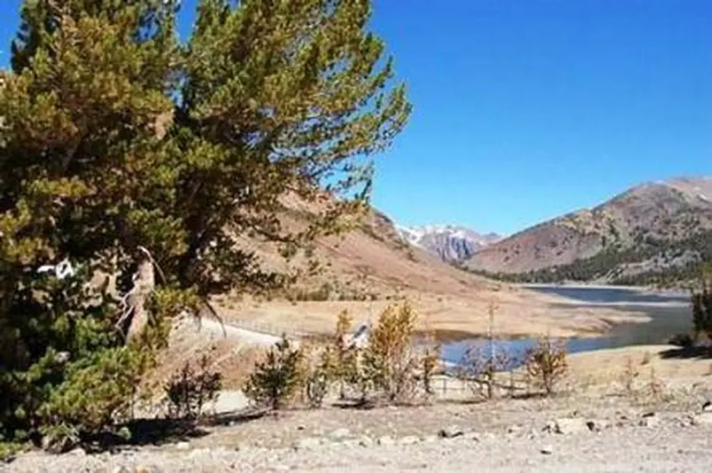 Saddlebag Lake Trailhead Group Camp