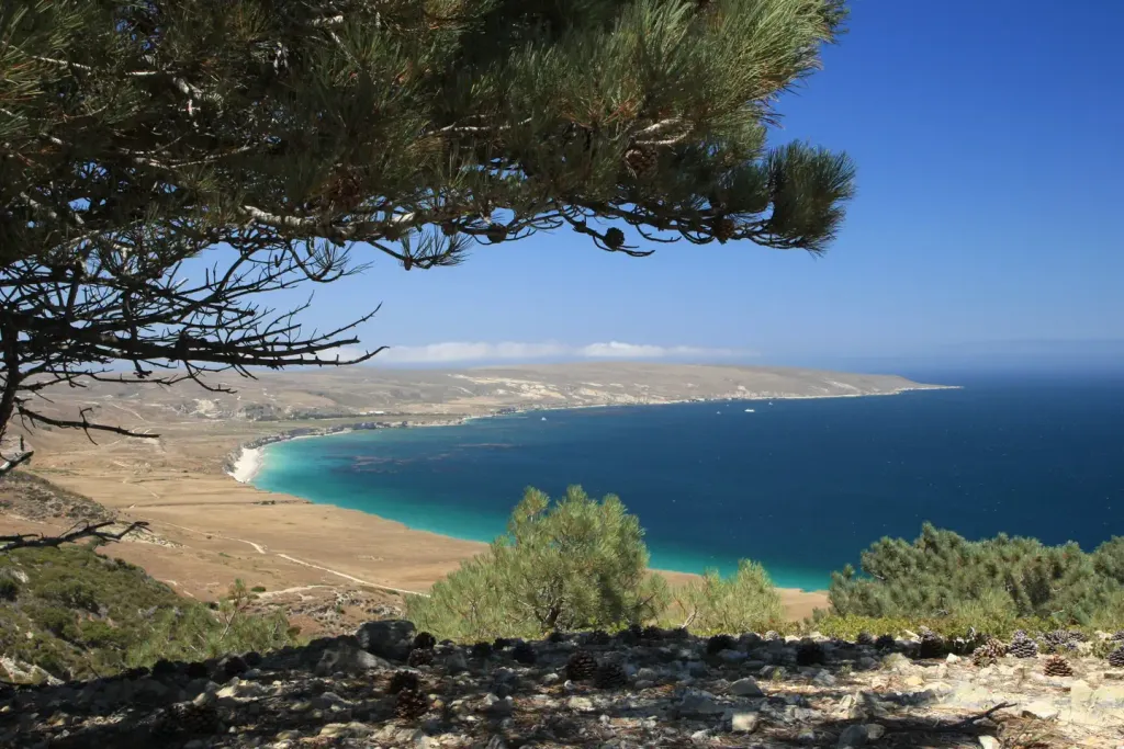 SANTA ROSA ISLAND