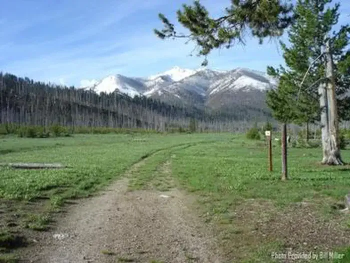 GRAHAM CABIN