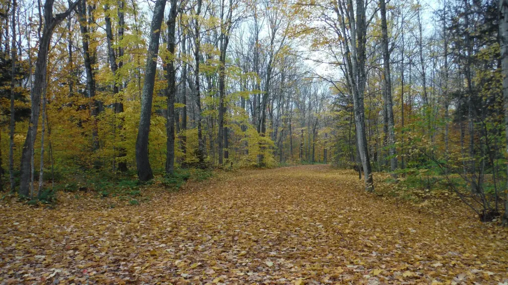 Au Train Lake Campground