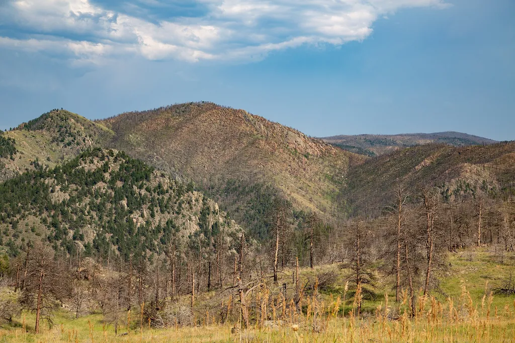 Mount McConnel Nature Trail