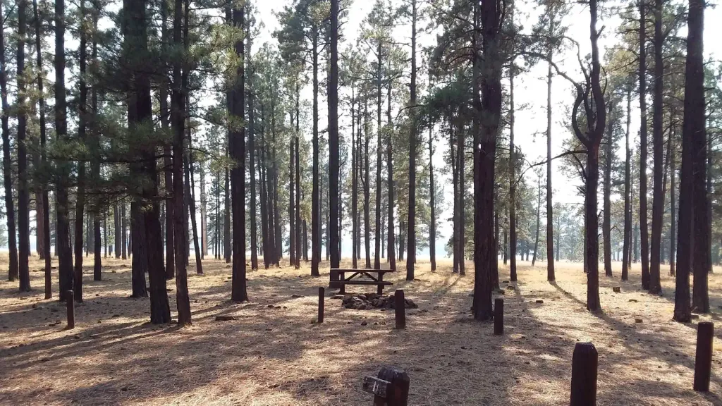BENNY CREEK GROUP AREA
