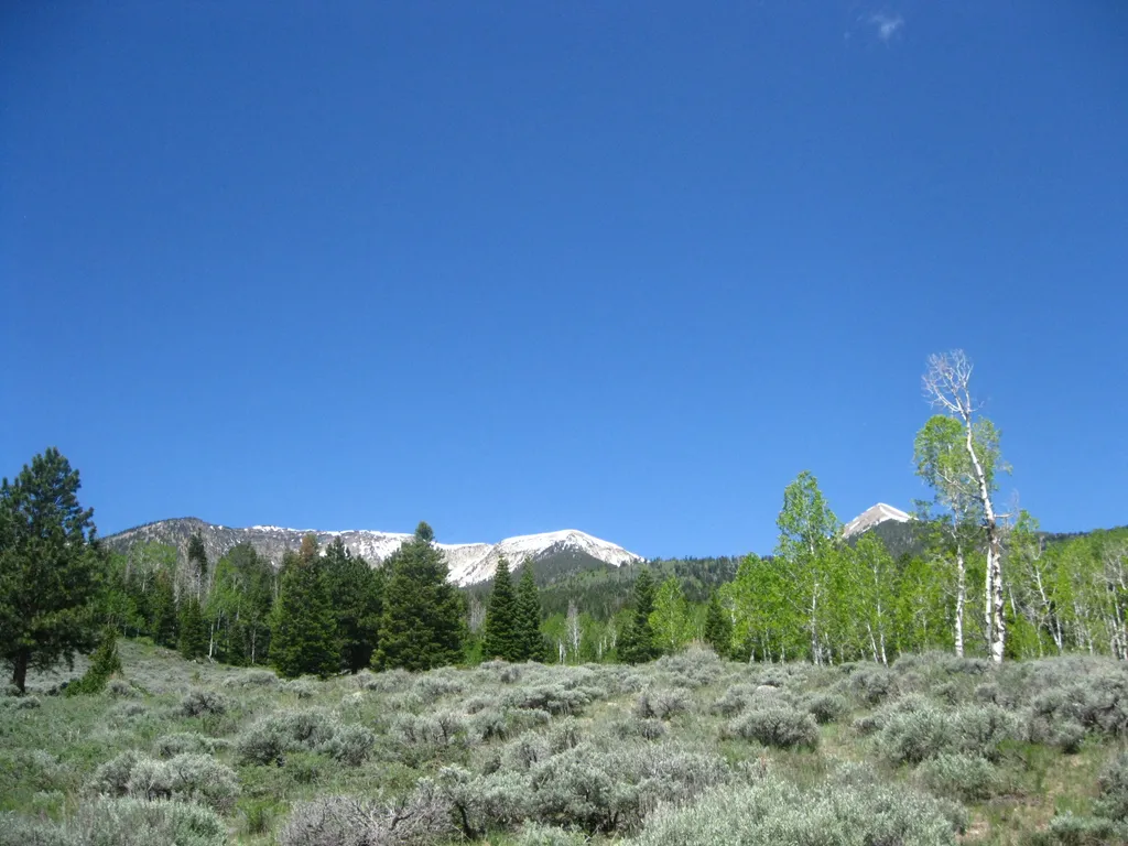 Snake Creek Trailhead