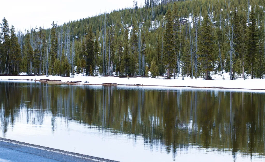 Headwaters Lodge