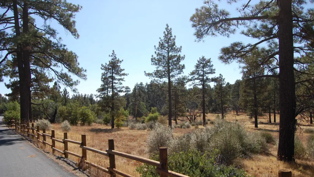 LAGUNA