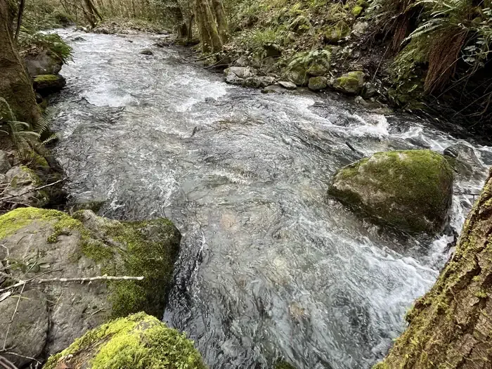 PEARCH CREEK CAMPGROUND
