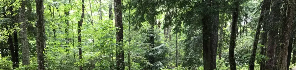DENNIS COVE CAMPGROUND