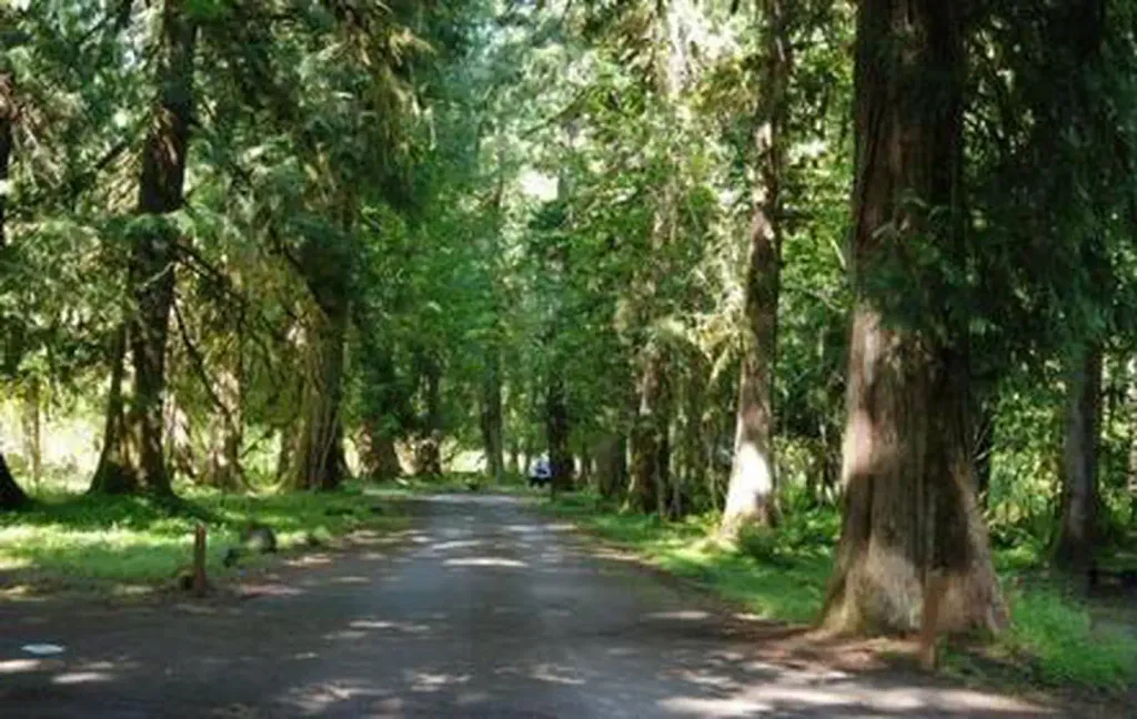 Tower Rock Campground
