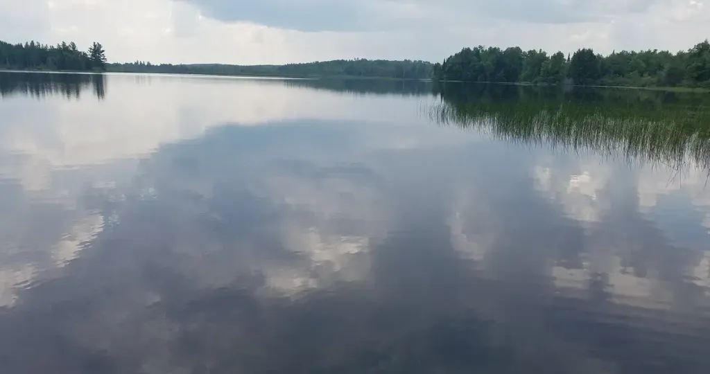 EAST TWIN