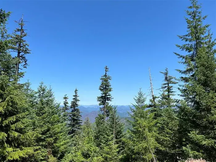 TIMBER BUTTE CABIN