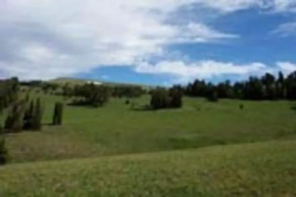 WINDY PASS CABIN