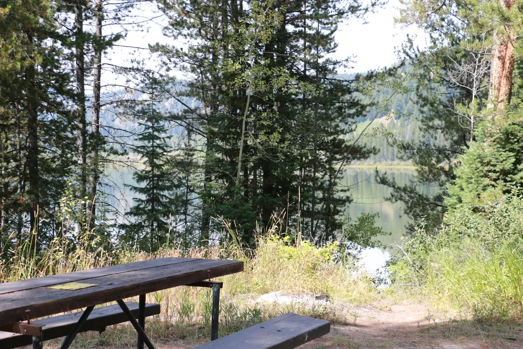 Two Ocean Lake Picnic Area