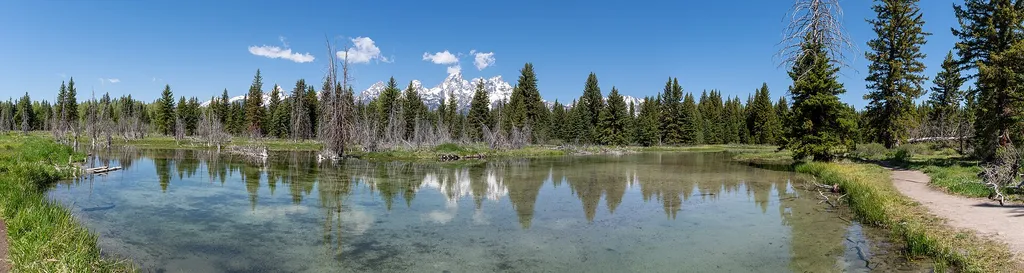 Schwabacher Landing