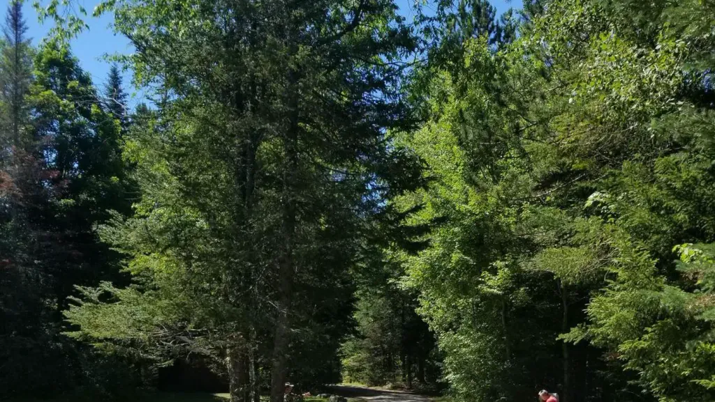 SUGARLOAF 2 CAMPGROUND