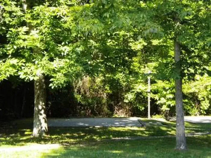 CRAIGS CREEK GROUP AREA
