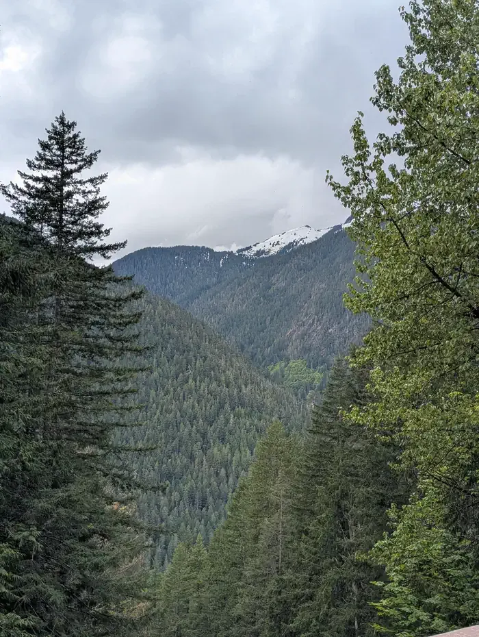 Mineral Park Campground