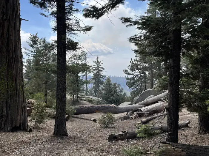 SUNSET CAMPGROUND (CA)