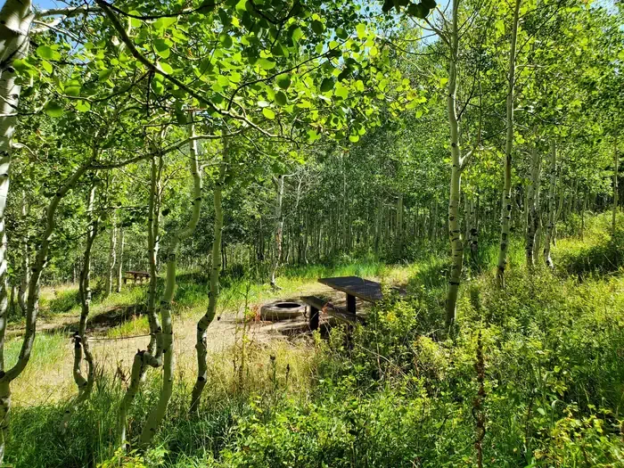 Gooseberry Creek Campground
