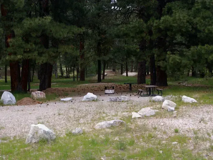 ELKS FLAT CAMPGROUND