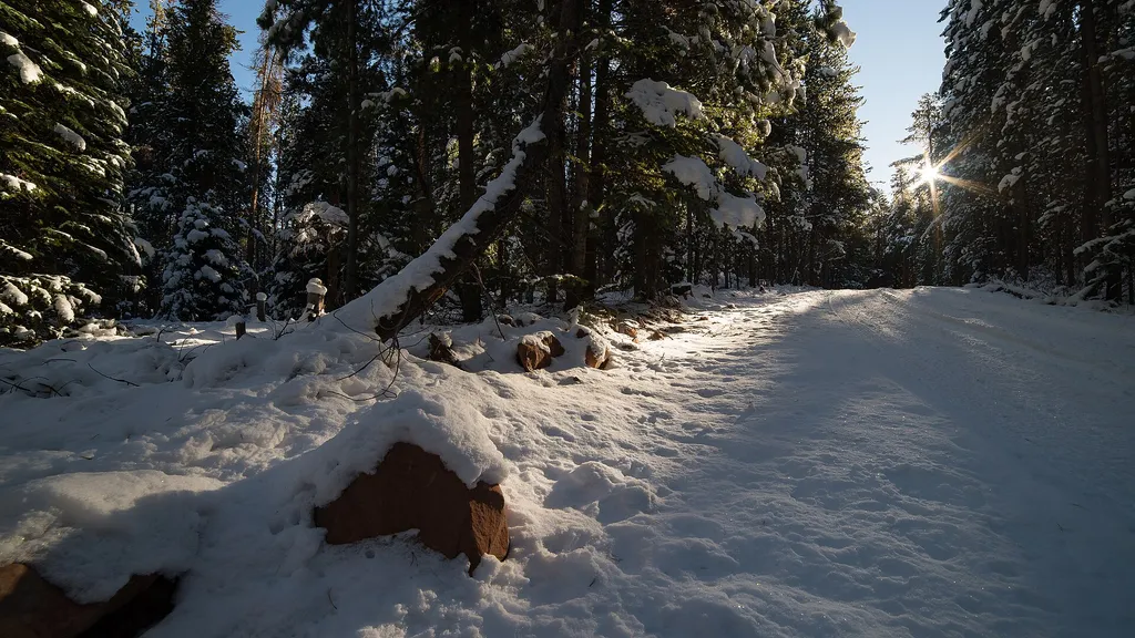 Mount Thomas