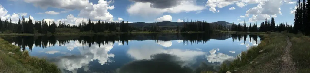 POTTERS POND