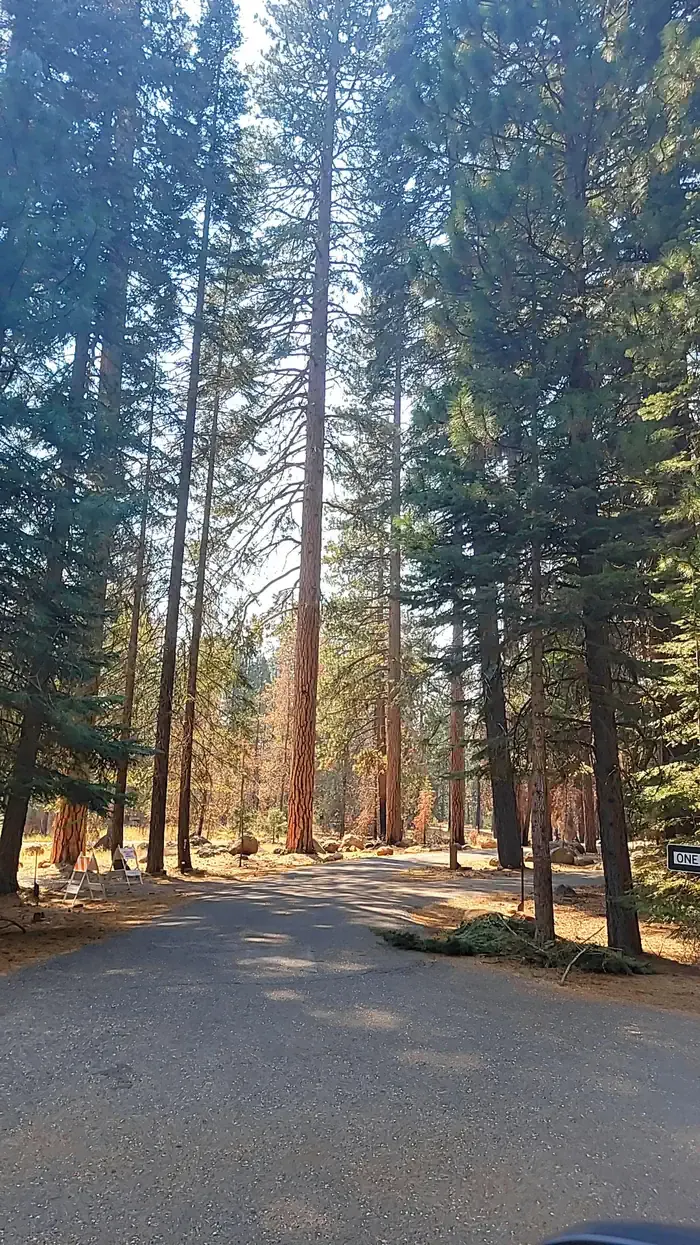 ALMANOR