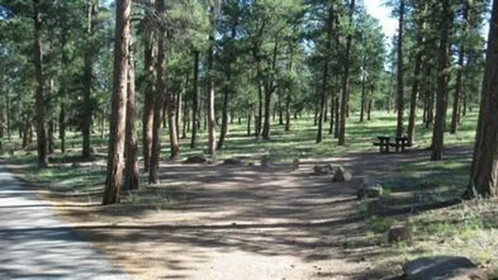 Camping in COLORADO SPRINGS, Colorado