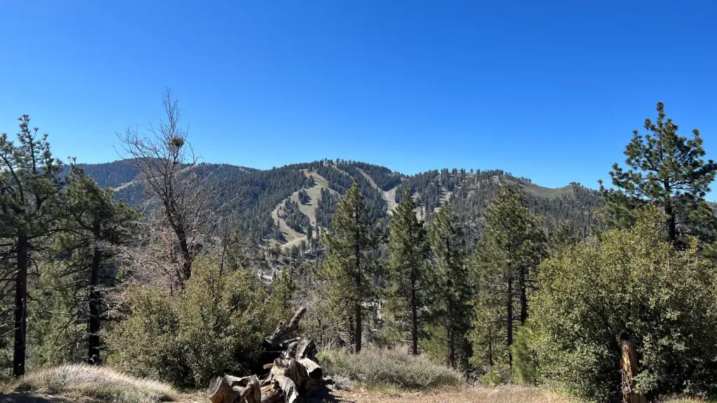 TABLE MOUNTAIN (ANGELES)