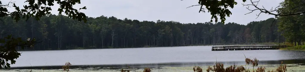 Pinewoods Lake Rec Area