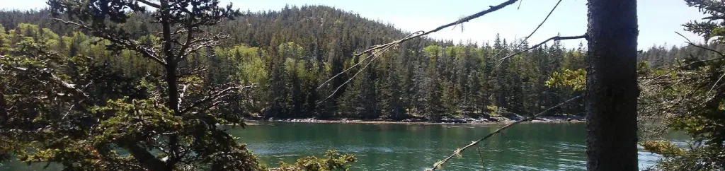 DUCK HARBOR CAMPGROUND
