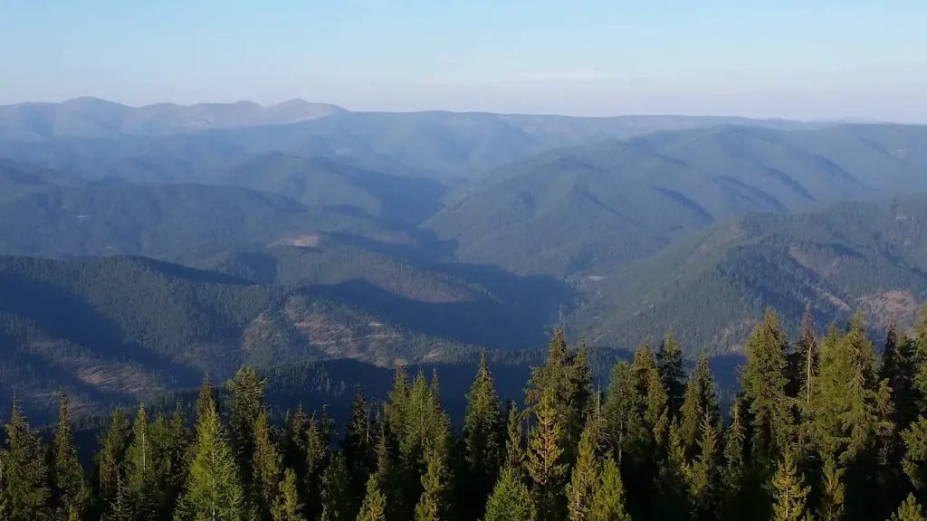 UP UP LOOKOUT
