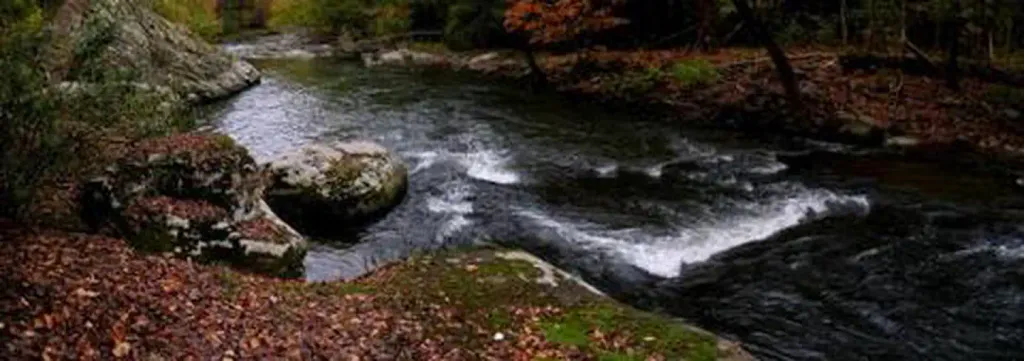 FLATWOODS GROUP PICNIC AREA
