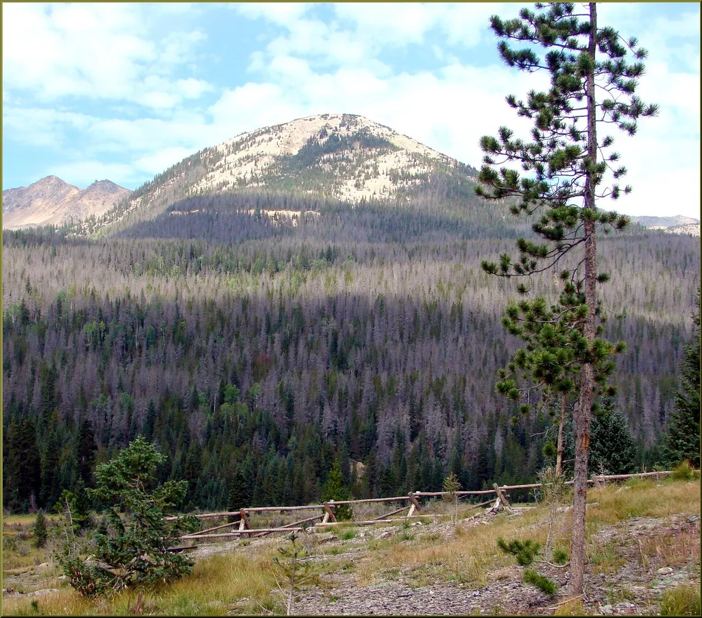 Bowen-Baker Trailhead
