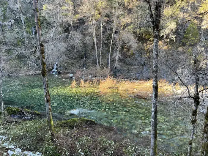 DILLON CREEK CAMPGROUND