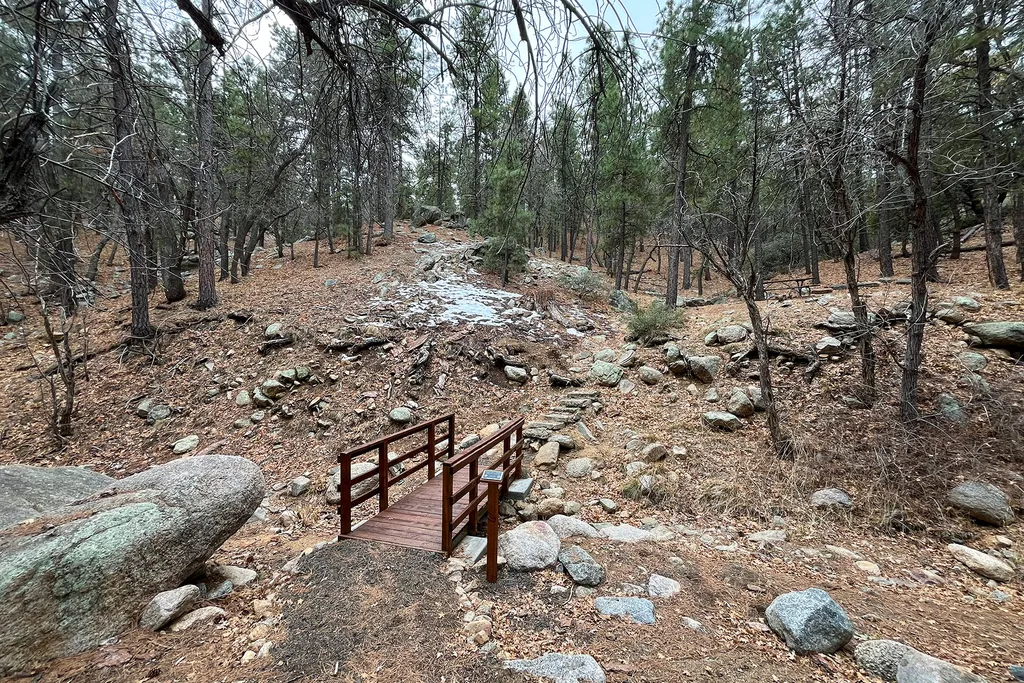 Wild Cow Springs Campground