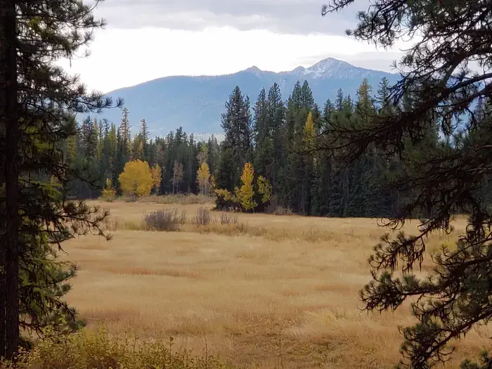 OLD CONDON RANGER STATION