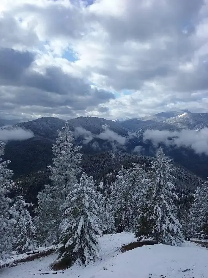 THOMPSON PEAK LOOKOUT TOWER