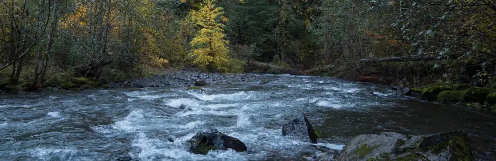 Panther Creek campground
