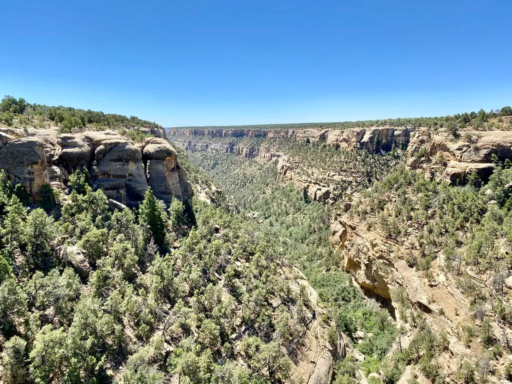 Sun Point View