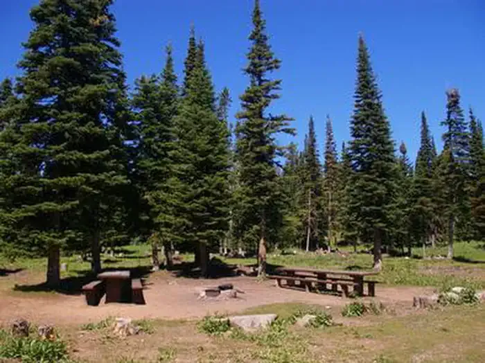 THOMPSON FLAT