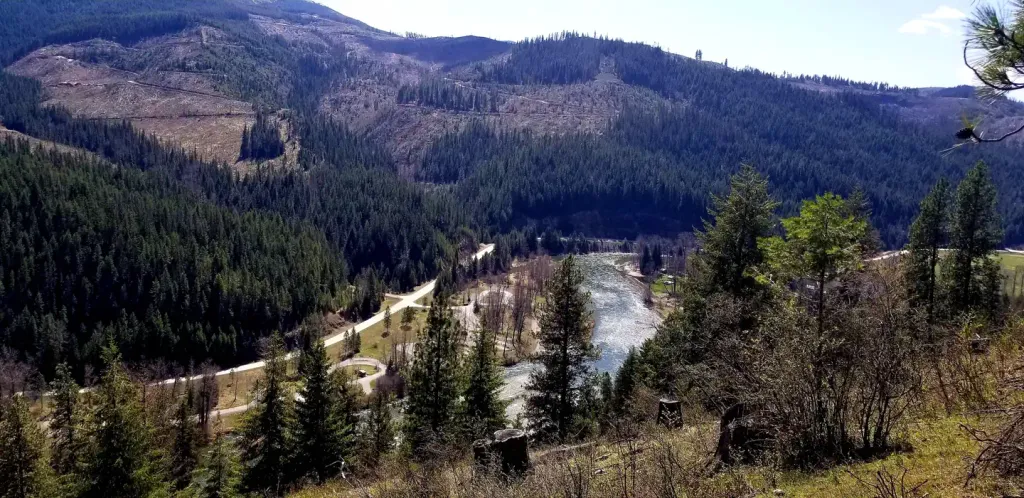 Huckleberry Campground 