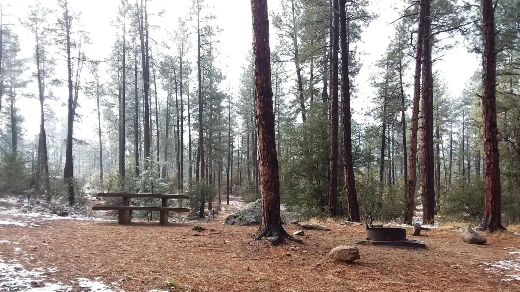 WHITE SPAR CAMPGROUND