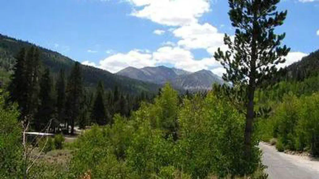 East Fork Campground – Inyo National Forest (CA)
