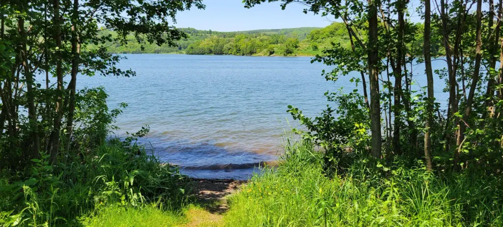 IVES RUN