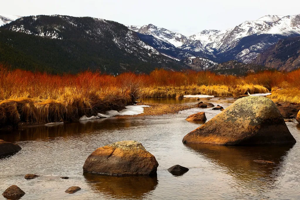 RMNP Timed Entry + Bear Lake Road